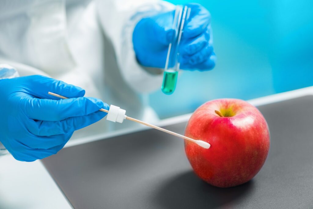 Biologist examining apple for pesticides